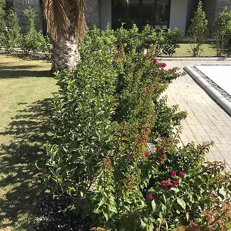 Lejlighed Ferienwohnung Bodrum
